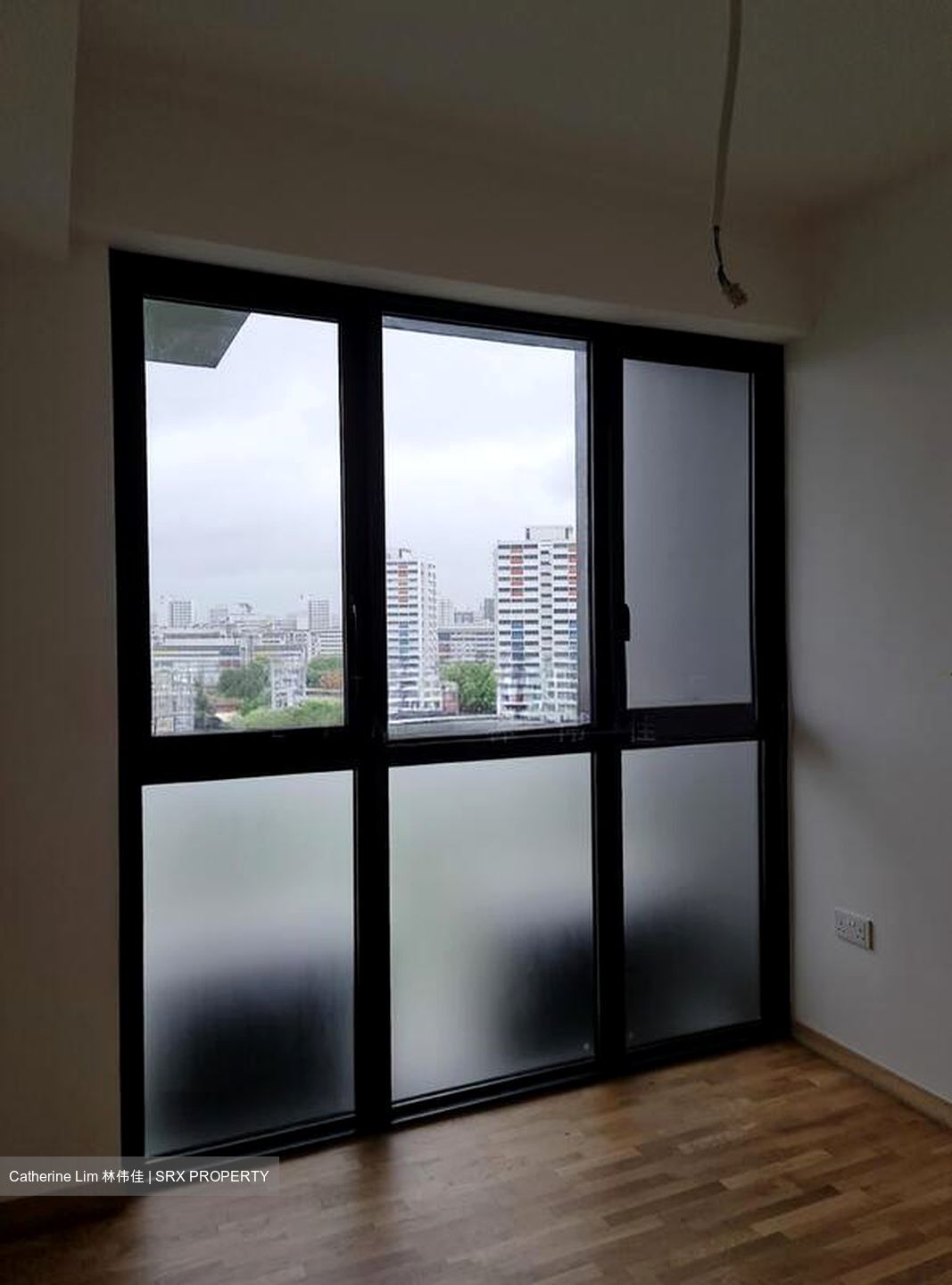 The Antares (D14), Apartment #499083851